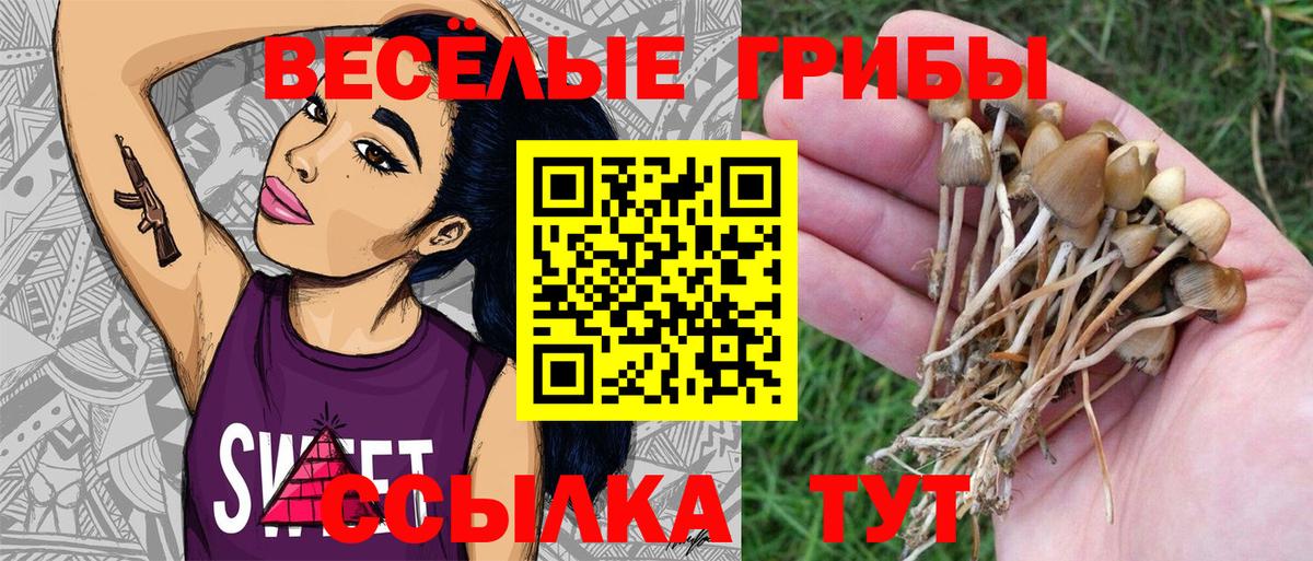 Кропоткин  Псилоцибиновые грибы мицелий  Вход с VPN 